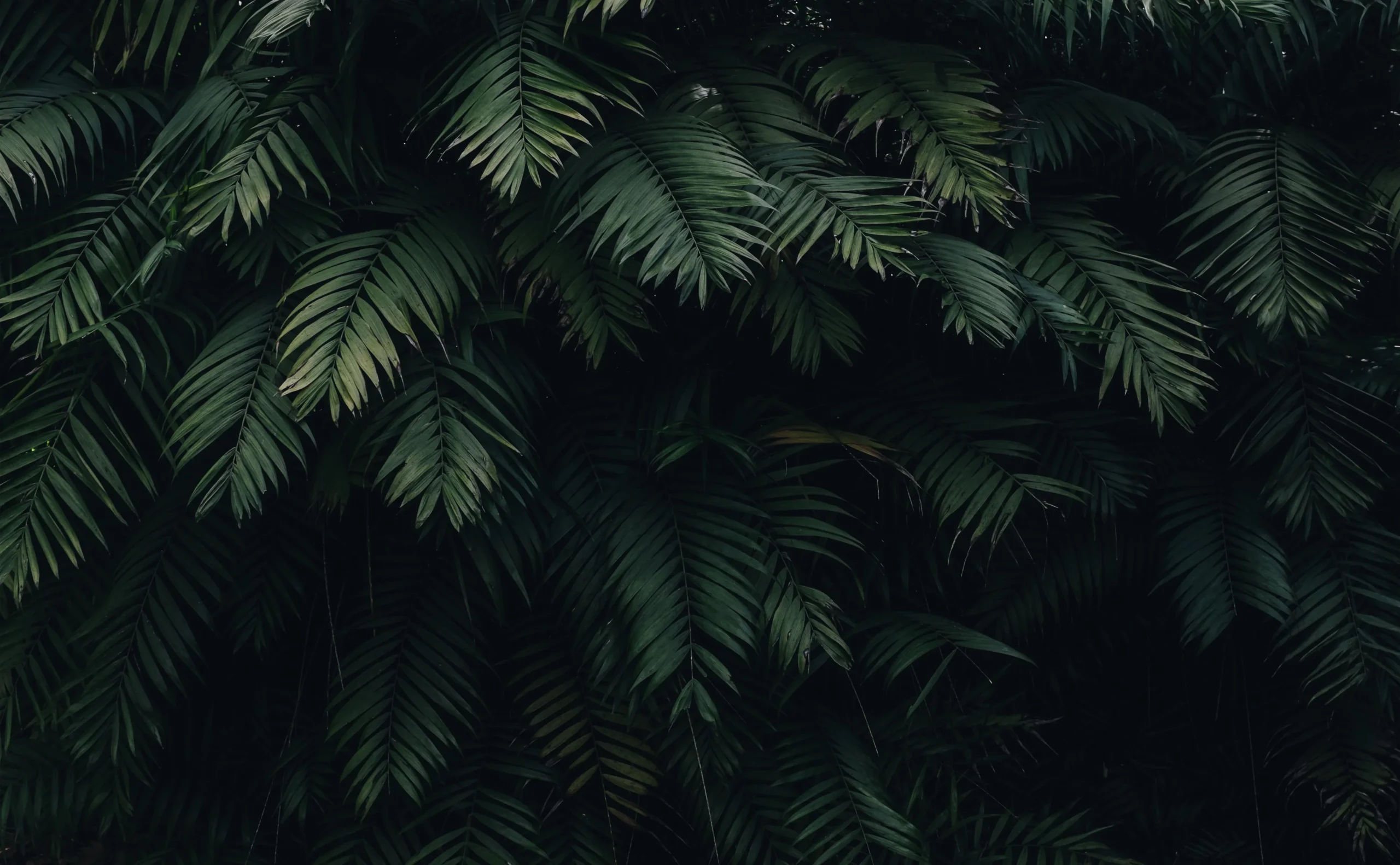 Philosophy 06